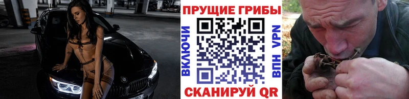 Псилоцибиновые грибы ЛСД  Боровск 